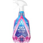 Astonish Odstraňovač skvrn z textilu ve spreji Oxy Active 750 ml – Hledejceny.cz