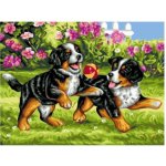 Norimpex Diamantové malování Hravá štěňátka 30 x 40 cm – Sleviste.cz