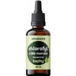 Allnature Chlorofyl z Moruše bílé kapky 30 ml – Hledejceny.cz