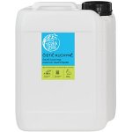 Tierra Verde Čistič kuchyně BIO citronová tráva 5 l – Hledejceny.cz