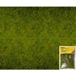 Noch statická tráva jarní louka 2,5mm 20g 08300 – Zboží Dáma