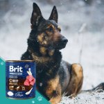 Brit Premium by Nature Dog Beef with Tripe 800 g – Zboží Mobilmania
