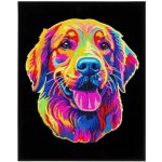 DIAMOND DOTZ Neon Zlatý retrívr 45,70 x 35,50 cm – Hledejceny.cz