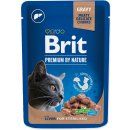 Krmivo pro kočky Brit Premium Cat Pouches Liver for Sterilized 100 g
