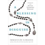 Blessing in Disguise – Hledejceny.cz