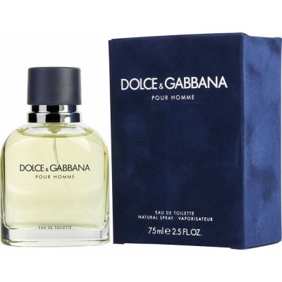 Dolce & Gabbana toaletní voda pánská 75 ml – Hledejceny.cz