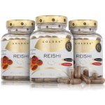 GN Exclusive Reishi 50% polysacharidů 300 kapslí – Hledejceny.cz