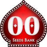 00 Seeds Chocolate Kush semena neobsahují THC 5 ks – Zboží Dáma