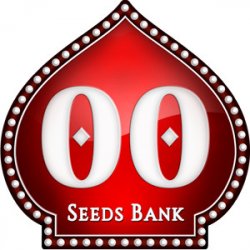 00 Seeds Auto Afghan Mass 0,3 % THC 5 ks