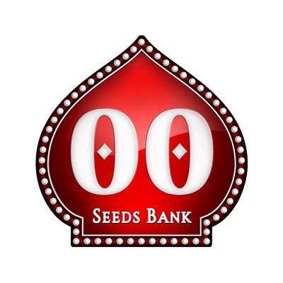00 Seeds Chocolate Kush semena neobsahují THC 5 ks – Zboží Dáma