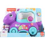 Dudlu Fisher price Hrající dino s vyskakujícími míčky HNR51 TV – Zboží Mobilmania