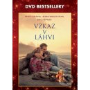 Vzkaz v láhvi DVD