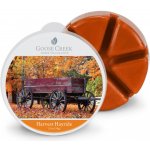 Goose Creek Candle vonný vosk Harvest Hayride 59 g – Zbozi.Blesk.cz