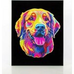 DIAMOND DOTZ Neon Zlatý retrívr 45,70 x 35,50 cm – Hledejceny.cz