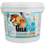 Orling Gelapony Chondro HYAL 0,9 kg – Zboží Mobilmania