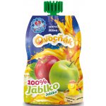 Ovocňák 100% Mošt jablko 200 ml – Zbozi.Blesk.cz