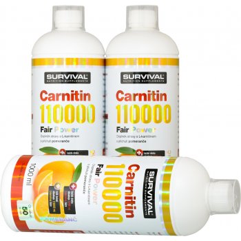 Survival Carnitin 110000 1000 ml