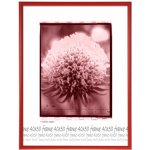 Tradag Rám UH 30x40 červený – Zboží Živě