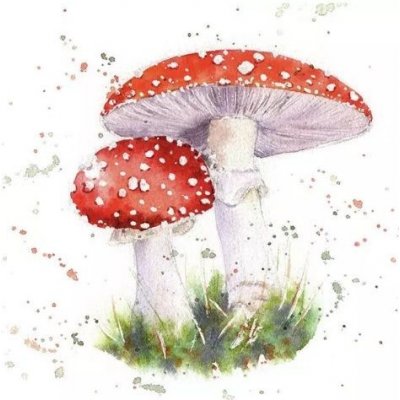 Ubrousek 33x33cm Dvě muchomůrky – Sleviste.cz