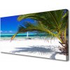 Obraz Obraz na plátně Pláž Palma Krajina 100x50 cm