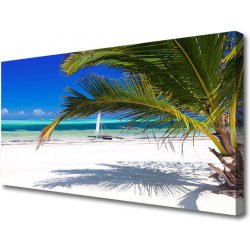 Obraz na plátně Pláž Palma Krajina 100x50 cm