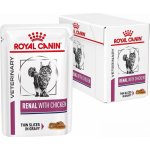 Royal Canin Veterinary Diet Cat Renal with Chicken Feline 12 x 85 g – Zbozi.Blesk.cz