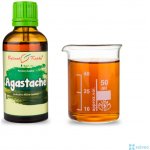Bylinné kapky Agastache tinktura 50 ml – Hledejceny.cz