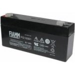 Fiamm FG10301 6V 3Ah – Zboží Mobilmania