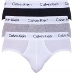 Calvin Klein slipy U2661G998 vícebarevné 3Pack – Hledejceny.cz