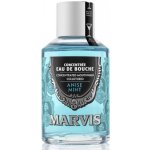 Marvis Anise Mint 120 ml – Zboží Dáma