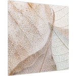 Obraz - Béžové listy, jednodílný 70x70 cm – Hledejceny.cz