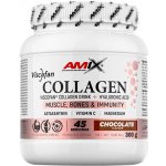 Amix Viscofan Collagen drink chocolate 300 g – Hledejceny.cz