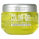 Color gel na vlasy panthenol 175 ml