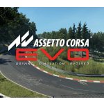 Assetto Corsa Evo – Zboží Dáma