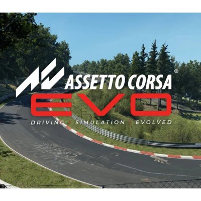 Assetto Corsa Evo – Zboží Dáma