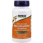 Now BerryDophilus Extra Strength probiotika pro děti 50 žvýkacích pastilek – Hledejceny.cz