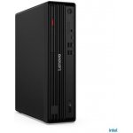 Lenovo ThinkCentre M70s 12YK000UCK – Zboží Mobilmania