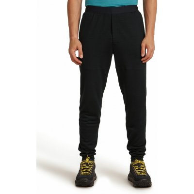 Icebreaker Merino Mens 200 Oasis Legless – Zboží Dáma