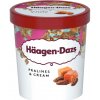 Zmrzlina Häagen Dazs Pralines & Cream 460 ml