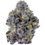 Growers Choice Sticky Wasabi Triploid F1 semena neobsahují THC 10 ks – Zboží Dáma