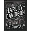 Obraz Nostalgic Art Plechová Cedule Harley-Davidson Motorcycles Eagle
