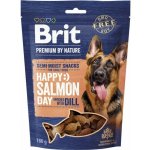 Brit Premium by Nature SM Snacks Salmon 180 g – Zbozi.Blesk.cz
