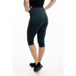 Benter Dámské sportovní legíny SPORT 46212 Cihlová – Hledejceny.cz