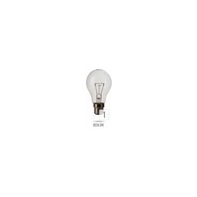 Wojnarowscy žárovka B-22 100W/ 24V MS – Hledejceny.cz