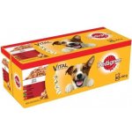 PEDIGREE Adult v želé 40x100g Mix příchutí – Zboží Mobilmania