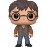 Funko Pop! #118 Harry Potter with 2 wands – Zboží Mobilmania