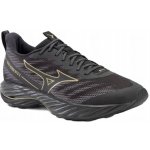 Mizuno Wave Rider Gtx – Hledejceny.cz