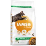 Iams Cat Adult Lamb 2 kg – Zboží Mobilmania