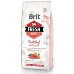 Brit Fresh Beef with Pumpkin Puppy Large 12 kg – Zboží Mobilmania