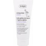 Ziaja Mintperfect Aroma White Clay Verbena & Mint 100 ml – Hledejceny.cz